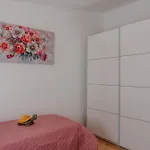 Sostaric Apartmán *